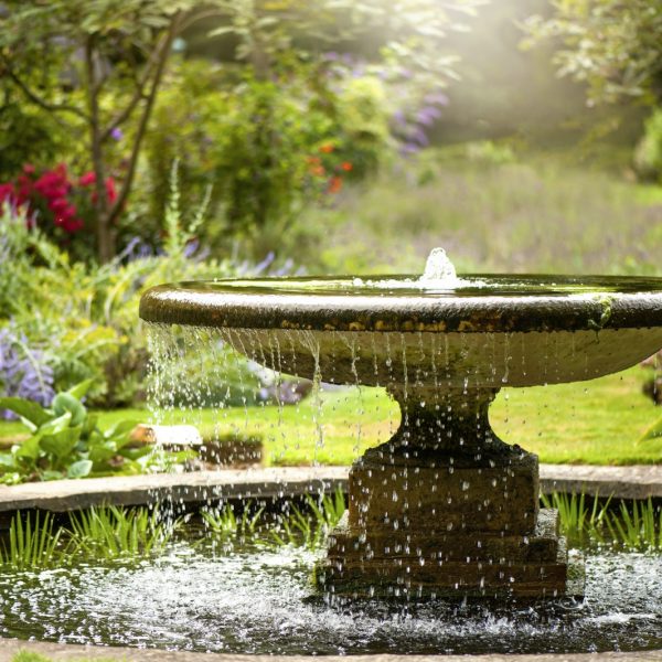 5 tính năng của nước sẽ biến khu vườn của bạn thành một cuộc trốn chạy yên tĩnh